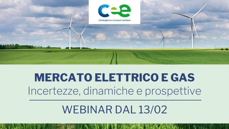 Webinar gratuiti sul mercato elettrico e del gas: 13 e 20 febbraio  ore 14:30